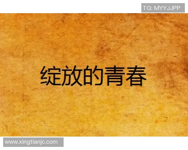 何思雨的成长之路：在风雨中绽放的青春故事与人生哲学