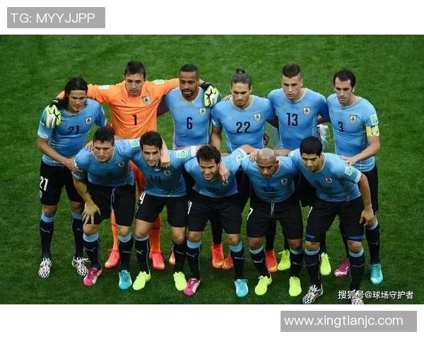 乌拉圭与厄瓜多尔足球对决深度分析及战术解析