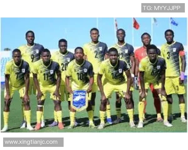 尼日利亚与乌克兰足球比赛精彩比分回顾与分析