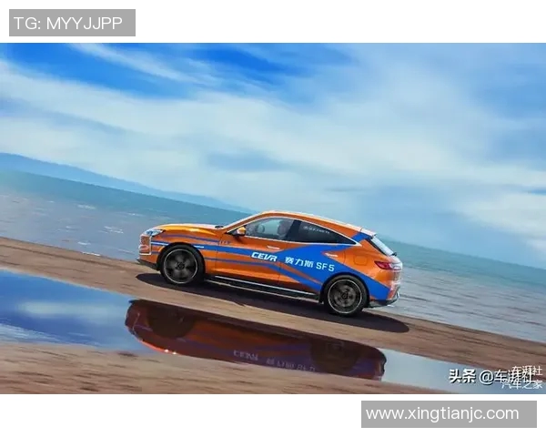 赛后复盘：西安飞盘队与杭州飞盘队速度对决的精彩瞬间与战术分析