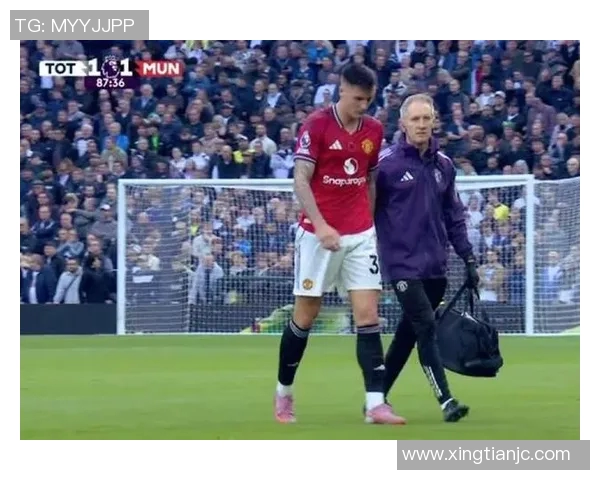 谢什科的传奇人生与足球梦想如何影响了当代体育文化