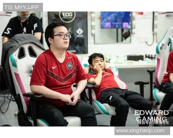EDG战队反击策略深度分析与实战应用探讨
