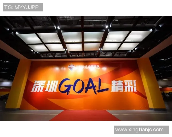 南京乒乓球队重塑辉煌之路的反击革新与未来展望