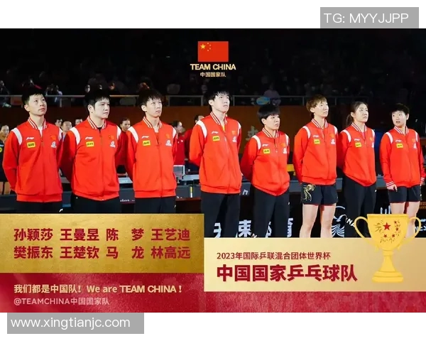 乒乓球盛宴：深入解析成都乒乓球队员的独特技能与发展之路