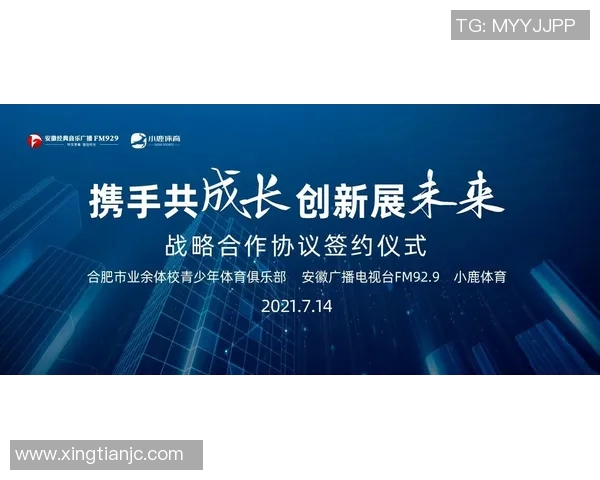 深圳极限运动队协作技巧深度剖析与对比研究